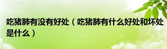 吃猪肺有没有好处（吃猪肺有什么好处和坏处是什么）