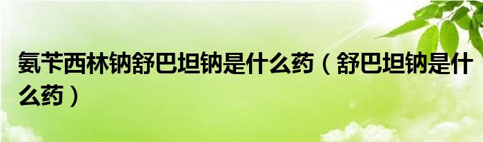 氨苄西林钠舒巴坦钠是什么药(舒巴坦钠是什么药)