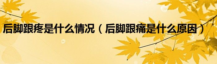 后脚跟疼是什么情况（后脚跟痛是什么原因）