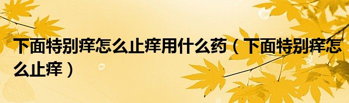 下面特别痒怎么止痒用什么药（下面特别痒怎么止痒）
