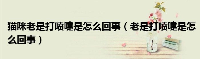 猫咪老是打喷嚏是怎么回事（老是打喷嚏是怎么回事）