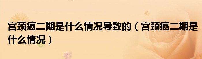 宫颈癌二期是什么情况导致的（宫颈癌二期是什么情况）