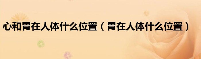 心和胃在人体什么位置（胃在人体什么位置）