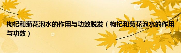 枸杞和菊花泡水的作用与功效脱发（枸杞和菊花泡水的作用与功效）