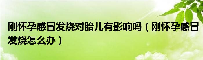 刚怀孕感冒发烧对胎儿有影响吗（刚怀孕感冒发烧怎么办）