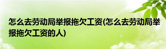 怎么去劳动局举报拖欠工资(怎么去劳动局举报拖欠工资的人)