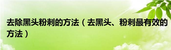 去除黑头粉刺的方法(去黑头、粉刺最有效的方法)