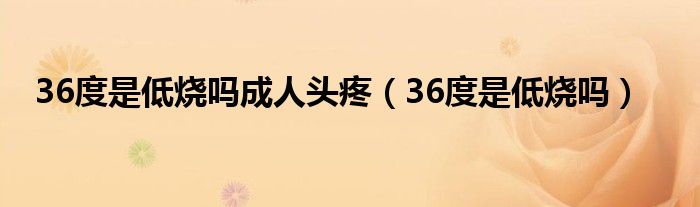 36度是低烧吗成人头疼（36度是低烧吗）