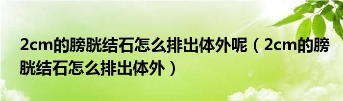 2cm的膀胱结石怎么排出体外呢（2cm的膀胱结石怎么排出体外）