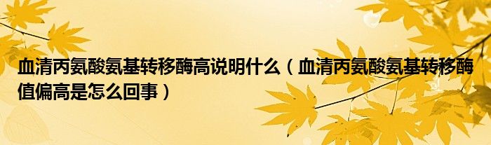 血清丙氨酸氨基转移酶高说明什么（血清丙氨酸氨基转移酶值偏高是怎么回事）