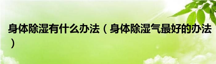 身体除湿有什么办法（身体除湿气最好的办法）