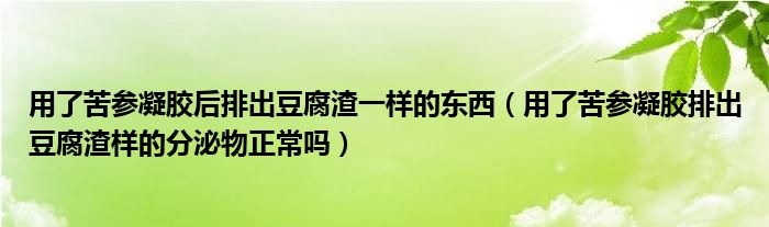 用了苦参凝胶后排出豆腐渣一样的东西（用了苦参凝胶排出豆腐渣样的分泌物正常吗）