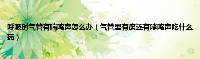 呼吸时气管有喘鸣声怎么办（气管里有痰还有哮鸣声吃什么药）