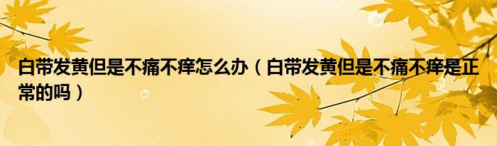 白带发黄但是不痛不痒怎么办（白带发黄但是不痛不痒是正常的吗）