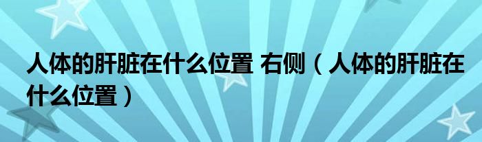 人体的肝脏在什么位置 右侧（人体的肝脏在什么位置）