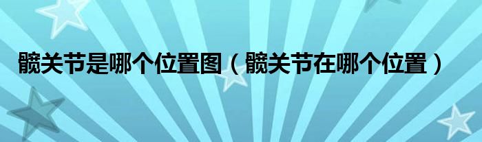 髋关节是哪个位置图（髋关节在哪个位置）