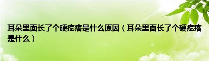 耳朵里面长了个硬疙瘩是什么原因（耳朵里面长了个硬疙瘩是什么）