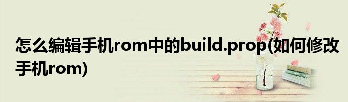 怎么编辑手机rom中的build.prop(如何修改手机rom)