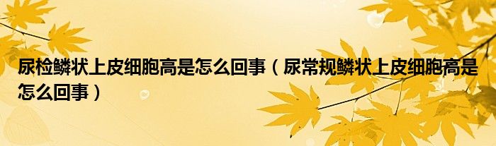 尿检鳞状上皮细胞高是怎么回事（尿常规鳞状上皮细胞高是怎么回事）