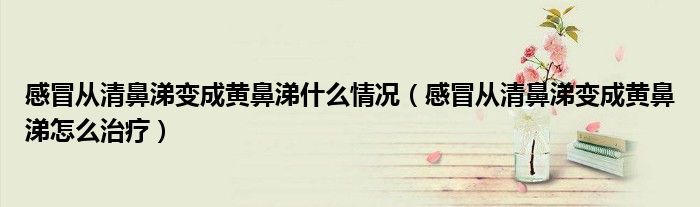 感冒从清鼻涕变成黄鼻涕什么情况（感冒从清鼻涕变成黄鼻涕怎么治疗）