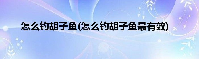 怎么钓胡子鱼(怎么钓胡子鱼最有效)