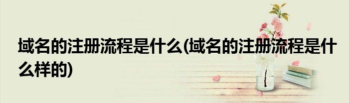 域名的注册流程是什么(域名的注册流程是什么样的)