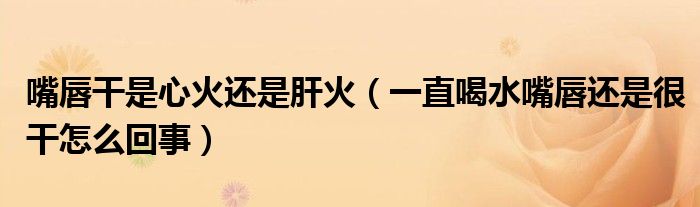 嘴唇干是心火还是肝火（一直喝水嘴唇还是很干怎么回事）
