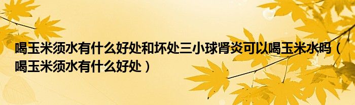 喝玉米须水有什么好处和坏处三小球肾炎可以喝玉米水吗（喝玉米须水有什么好处）