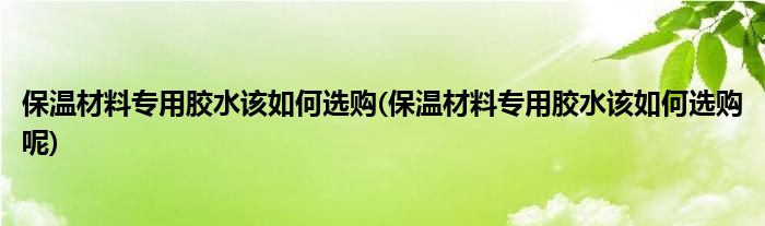 保温材料专用胶水该如何选购(保温材料专用胶水该如何选购呢)