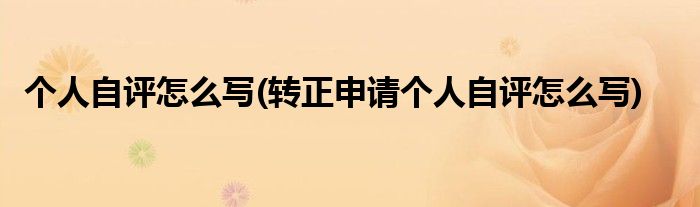 个人自评怎么写(转正申请个人自评怎么写)