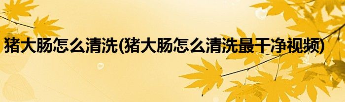 猪大肠怎么清洗(猪大肠怎么清洗最干净视频)