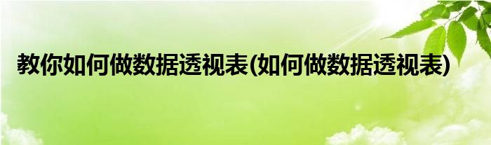 教你如何做数据透视表(如何做数据透视表)