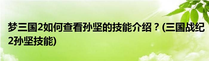 梦三国2如何查看孙坚的技能介绍？(三国战纪2孙坚技能)