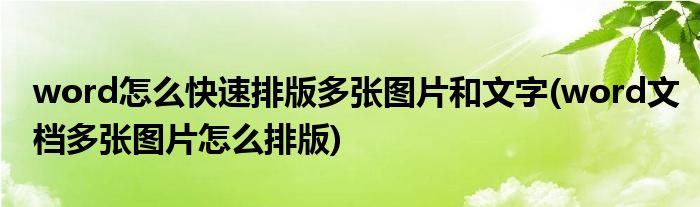 word怎么快速排版多张图片和文字(word文档多张图片怎么排版)