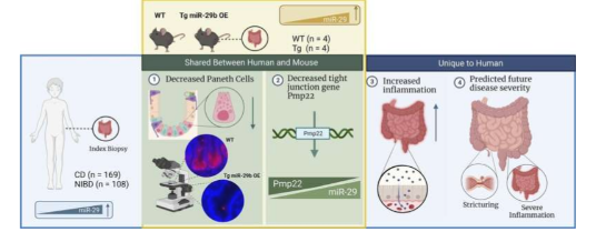 研究发现 microRNA 可以预测儿童严重克罗恩病