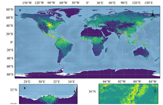 新的卫星数据集揭示了地球植物的生长