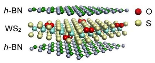 二维半导体晶体的缺陷去除：捕获氧分子提供更好的控制