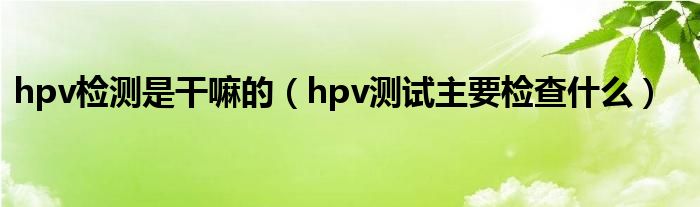 hpv检测是干嘛的（hpv测试主要检查什么）
