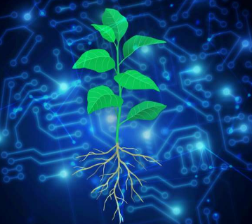 人工智能帮助科学家设计植物来应对气候变化