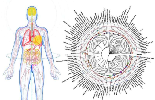 先进的细胞图谱为生物医学研究打开了新的大门