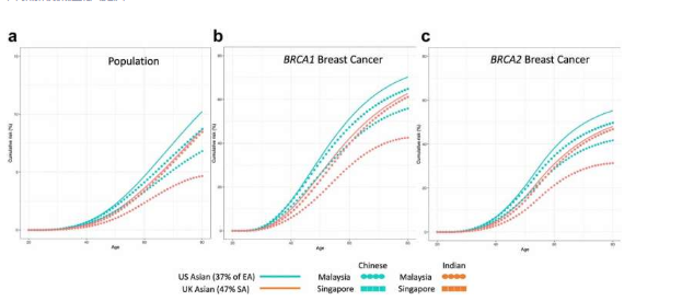 研究支持新加坡对 BRCA1 和 BRCA2 基因携带者进行基因定向管理