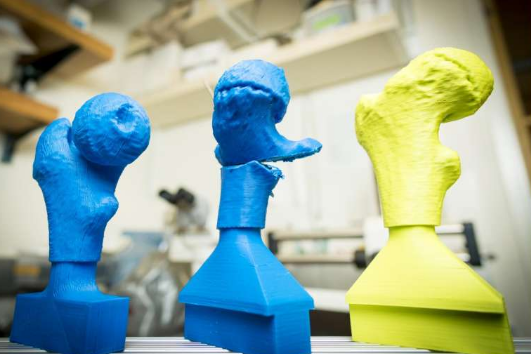 工程师利用 3D 打印的力量帮助培训外科医生 缩短手术时间
