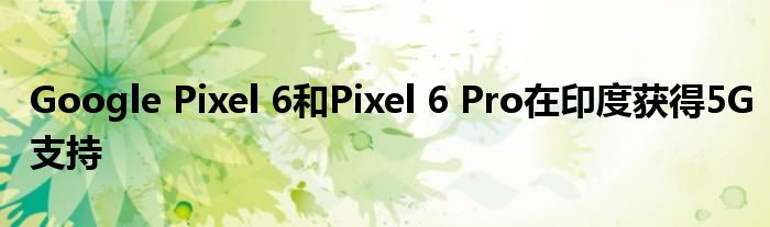 Google Pixel 6和Pixel 6 Pro在印度获得5G支持