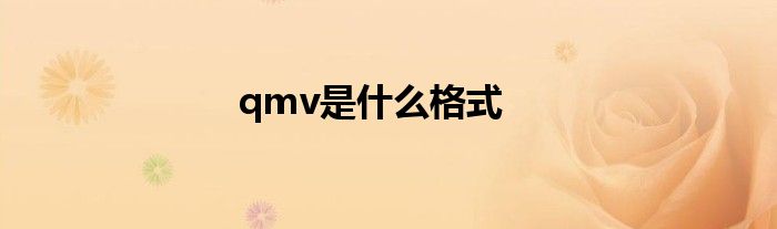 qmv是什么格式