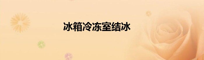 冰箱冷冻室结冰