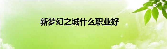 新梦幻之城什么职业好