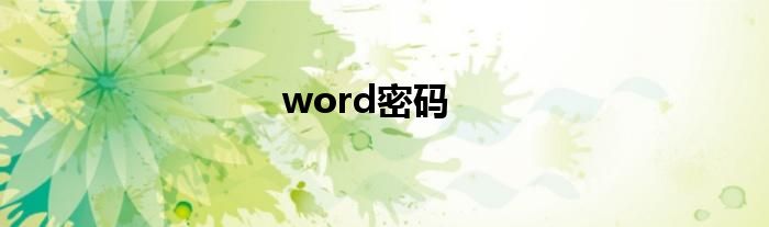 word密码