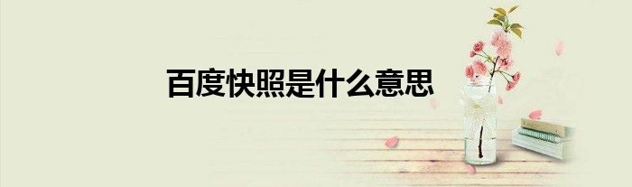 百度快照是什么意思
