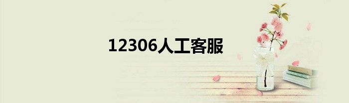 12306人工客服