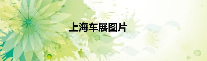 上海车展图片